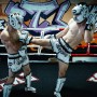 Twins Special FSGL10-66 Защита Голени Тайский Бокс
